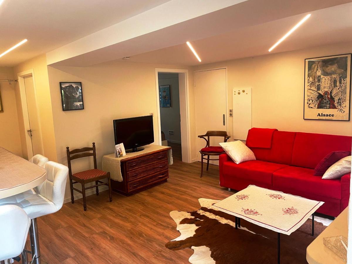Appart Prive Dans Villa Meinau Residentiel Straatsburg Buitenkant foto