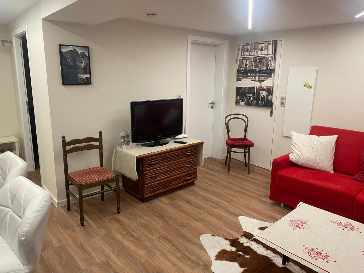 Appart Prive Dans Villa Meinau Residentiel Straatsburg Buitenkant foto